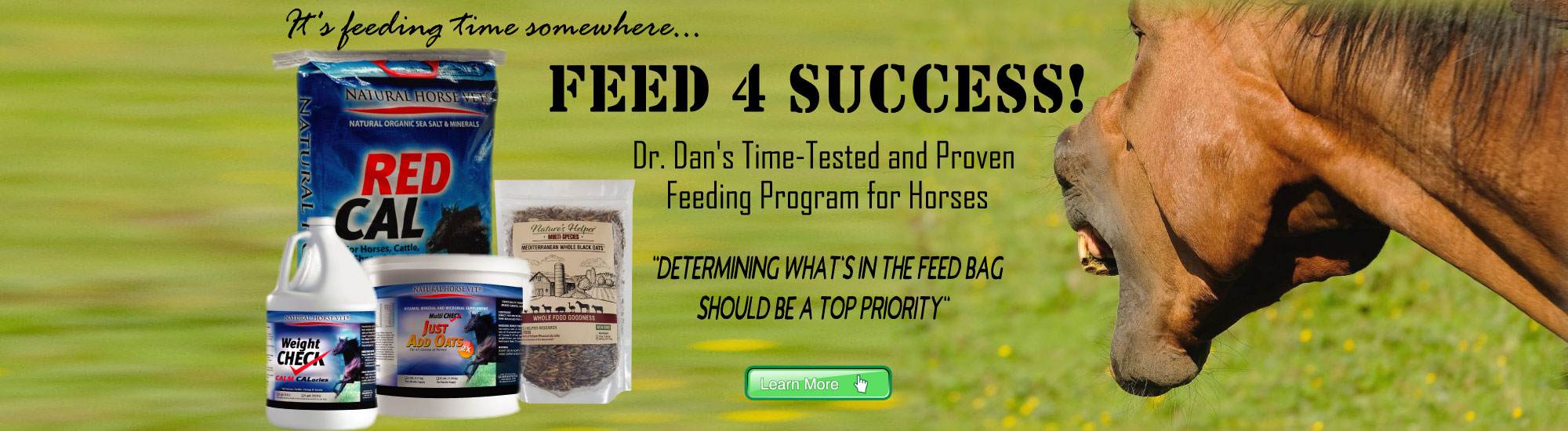 Dr. Dan's Feed 4 Success Feeding Program | Click/Tap Here
