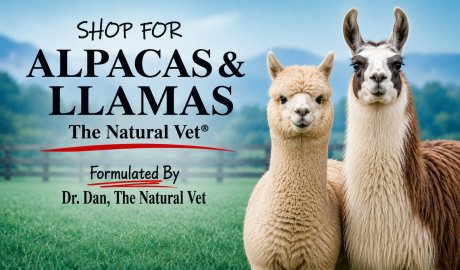 Shop For Alpacas and Llamas - The Natural Vet