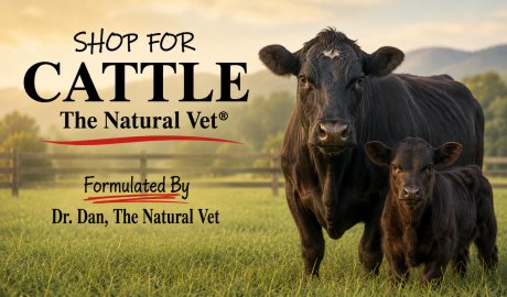 Shop For Cattle - The Natural Vet
