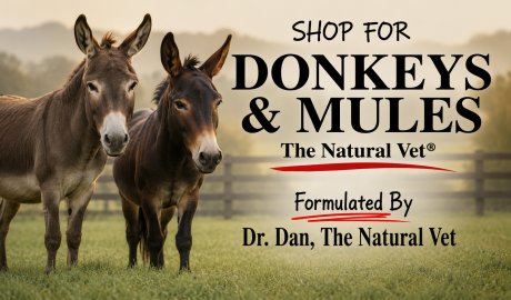 Shop For Donkeys and Mules - The Natural Vet
