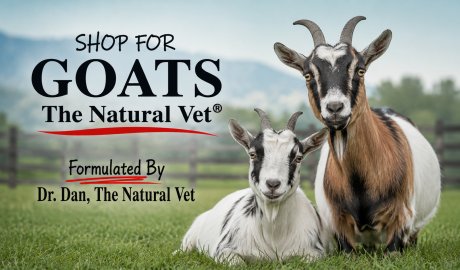 Shop For Goats - The Natural Vet