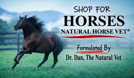 Shop For Horses - Natural Horse Vet