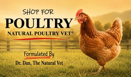 Shop For Poultry - Natural Poultry Vet