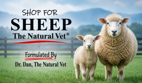Shop For Sheep - The Natural Vet